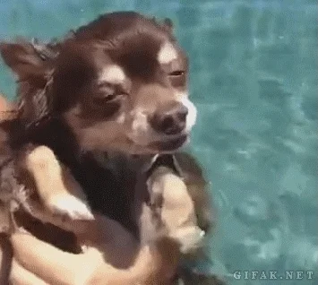 🏊 Et si vous appreniez enfin à nager à Paris, à petit prix ? 3 je nageotte trankilou dans ma pistache