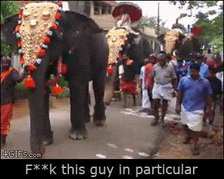l0Iy2y9onHzT97LTW.gif