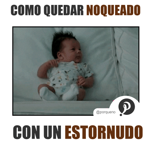 imagenes gif,imagenes graciosas, las mejores imagenes, imagenes graciosas, chistes, risas