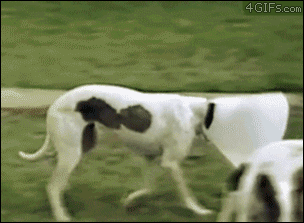 l0MYH40w1vRWxIrXq.gif