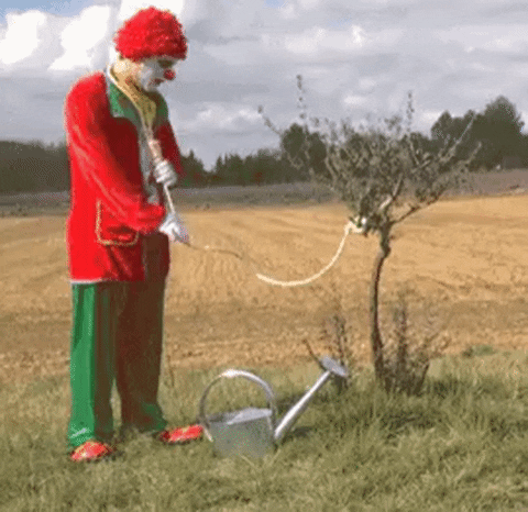 l0NwCc3XgwlaNTLVu.gif