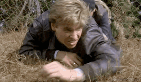 l2Sq4m2OXjoVrwnn2.gif