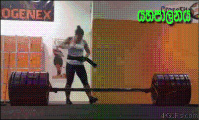 l41lIWOcZEYgpYc8M.gif