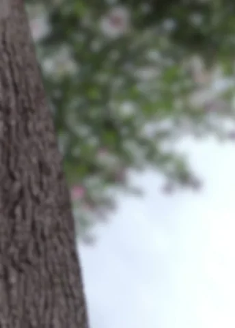 lgPvf5ek5l9FpPVliZ.webp