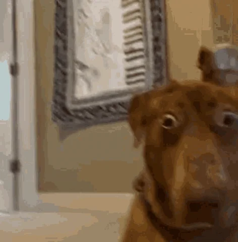 meJN6qdG74lUKAJTQl.webp