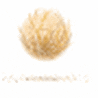 200.gif