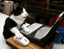 https://i.giphy.com/media/11JTxkrmq4bGE0/100.webp?cid=36b14fac3j2zhu9b0uxa9r1jec6mcvmfjkokq3azd2yl0joh&rid=100.webp&ct=g