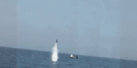 giphy.gif