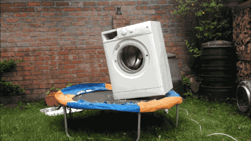 giphy.gif