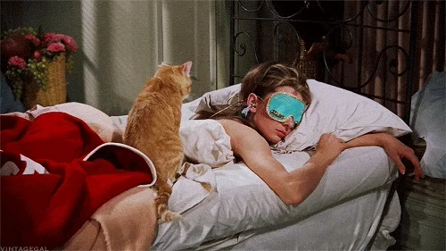 giphy.webp
