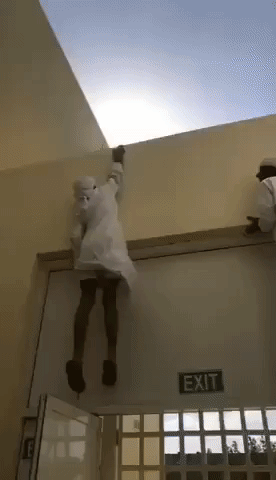 giphy-downsized-large.gif
