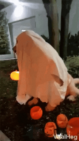 Gif del Artículo