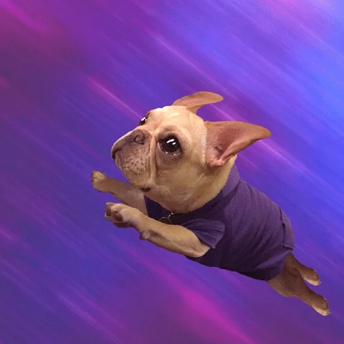 Streaming Animation