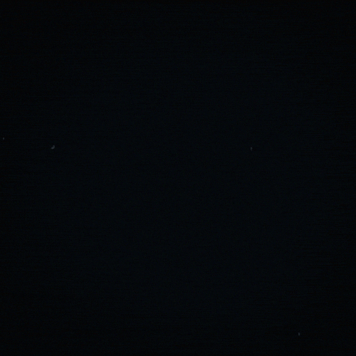 gif artist crush GIF Animado MISTERGIF