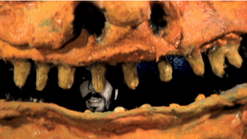 GIF