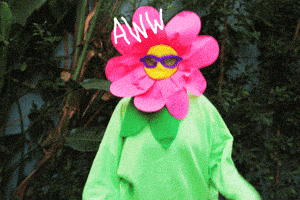 [Image: 200.gif]