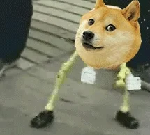 giphy.webp