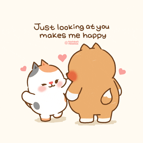 GIF animado (5vYwHanb6y3HWBQIox) Cat Love