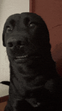 Giphy 8lgqAbycBjosxjfi9k