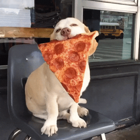 GIF animado (9fuvOqZ8tbZOU) Dog Pizza GIF