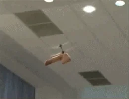 https://i.giphy.com/media/B7akmEqrkNbsQ/giphy.webp