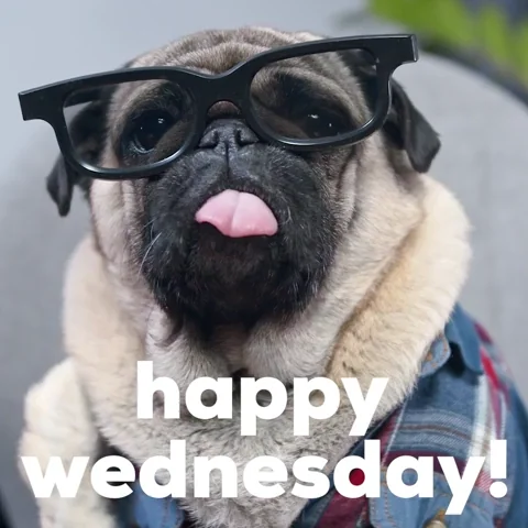 https://i.giphy.com/media/Cm9wKmKMUlRPvdoHgU/giphy.webp