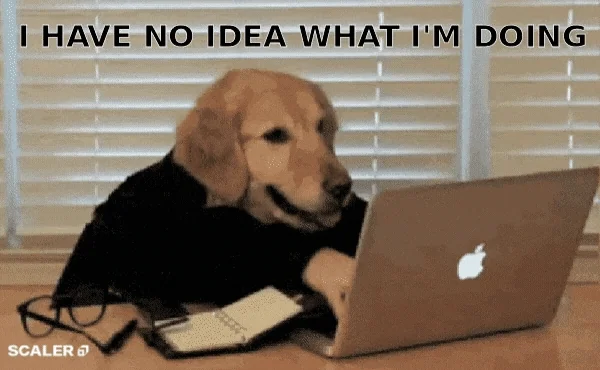 dog typing
