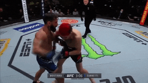 giphy-downsized-large.gif