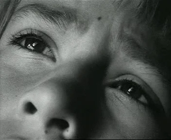 Строители нашли более 1000 человеческих зубов в стене здания, и это реальная история зубы в стене, строители нашли зубы в стене, откуда зубы в стене, 1000 зубов в стене