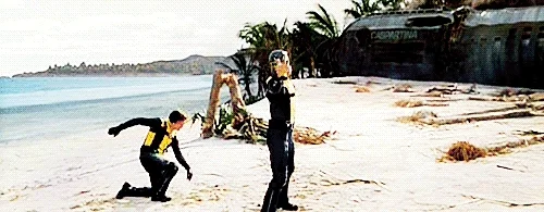 giphy.webp