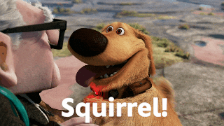 Gif del Artículo