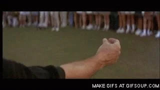 giphy.webp