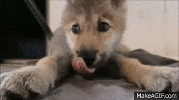 200.gif