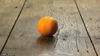 orange peel stop motion