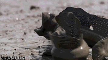200.gif