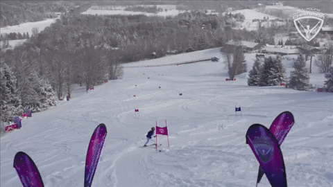 GIF animado (L1ffh8fBJiEiQi793t) Alpine Skiing