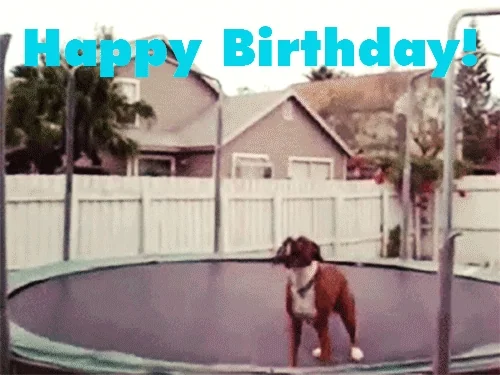 https://i.giphy.com/media/OXY6TyrhUNdlu/giphy.webp