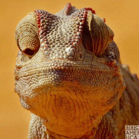 Masterjr0’s Photopoll 182059991 Image