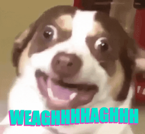 GIF