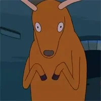 this is an image