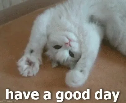 cat loading gif