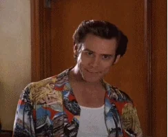 giphy.webp
