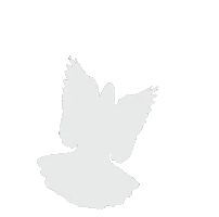 200.webp