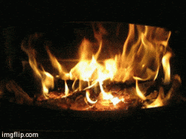 200.gif