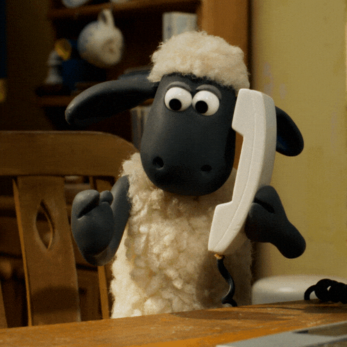 Funny sheep taking a call