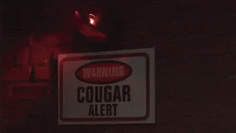 GIF animado (dX3t2ggmCX4K0AMkwV) Cougar