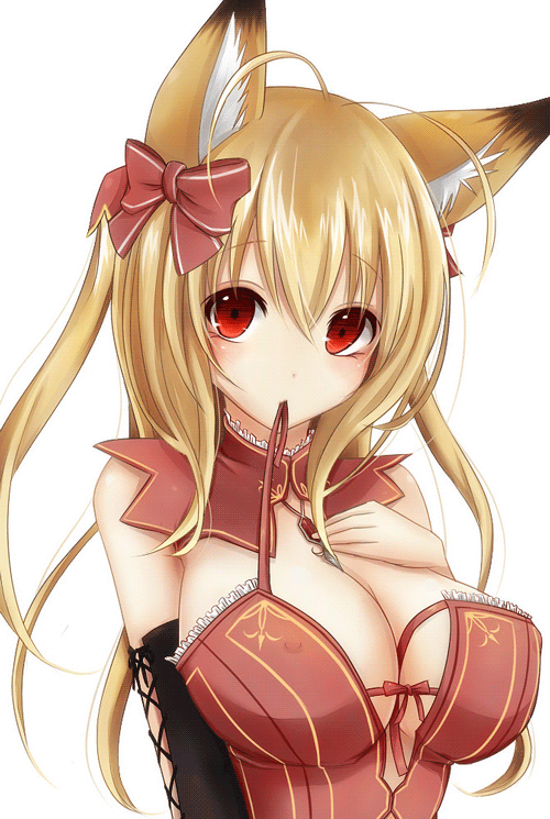 Forum Image: https://i.giphy.com/media/ecitt4Pu1aBji/source.gif