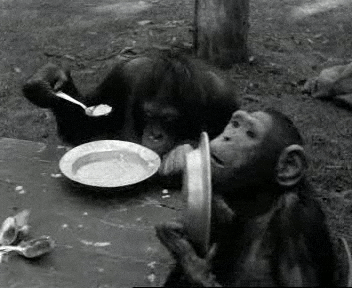 GIF animado (floTZhoQnh8oE) Hungry Food