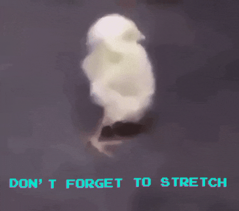 Gif del Artículo