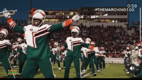 FAMU 'Marching 100' band mid-performance on the field